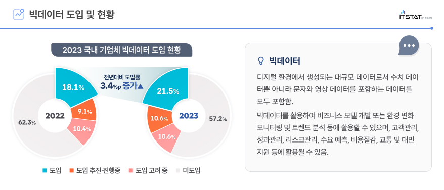 빅데이터 도입 및 현황 인포그래픽